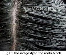 251113144445_Hair-Dyed with indigo-s.jpg